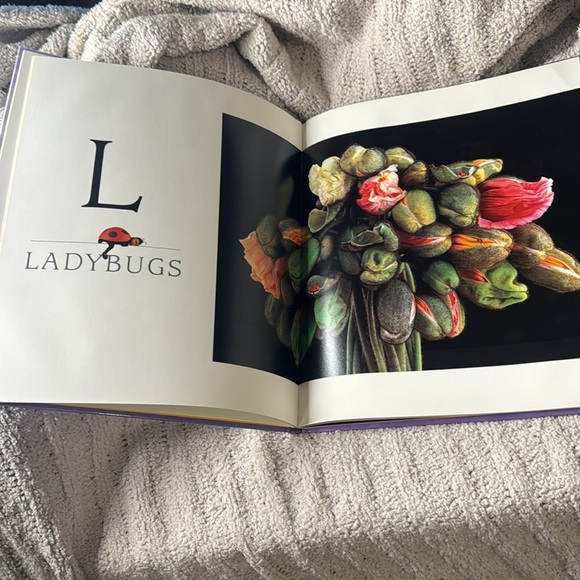 Anne Geddes Alphabet Book - 26 Beautiful Babies in Natural Settings - Picture 4 of 8